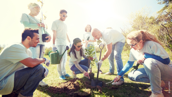 Männer und Frauen beim Pflanzen in einem Garten