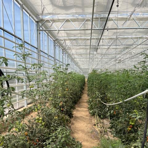 Gärtnerei in Weckelweiler