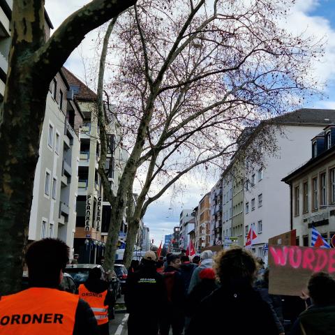 Demonstrationszug in Bewegung