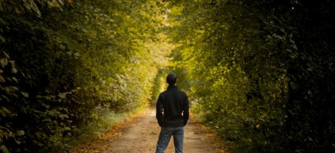 junger Mensch steht auf einem Waldweg der in der Ferne von Licht angestrahlt wird
